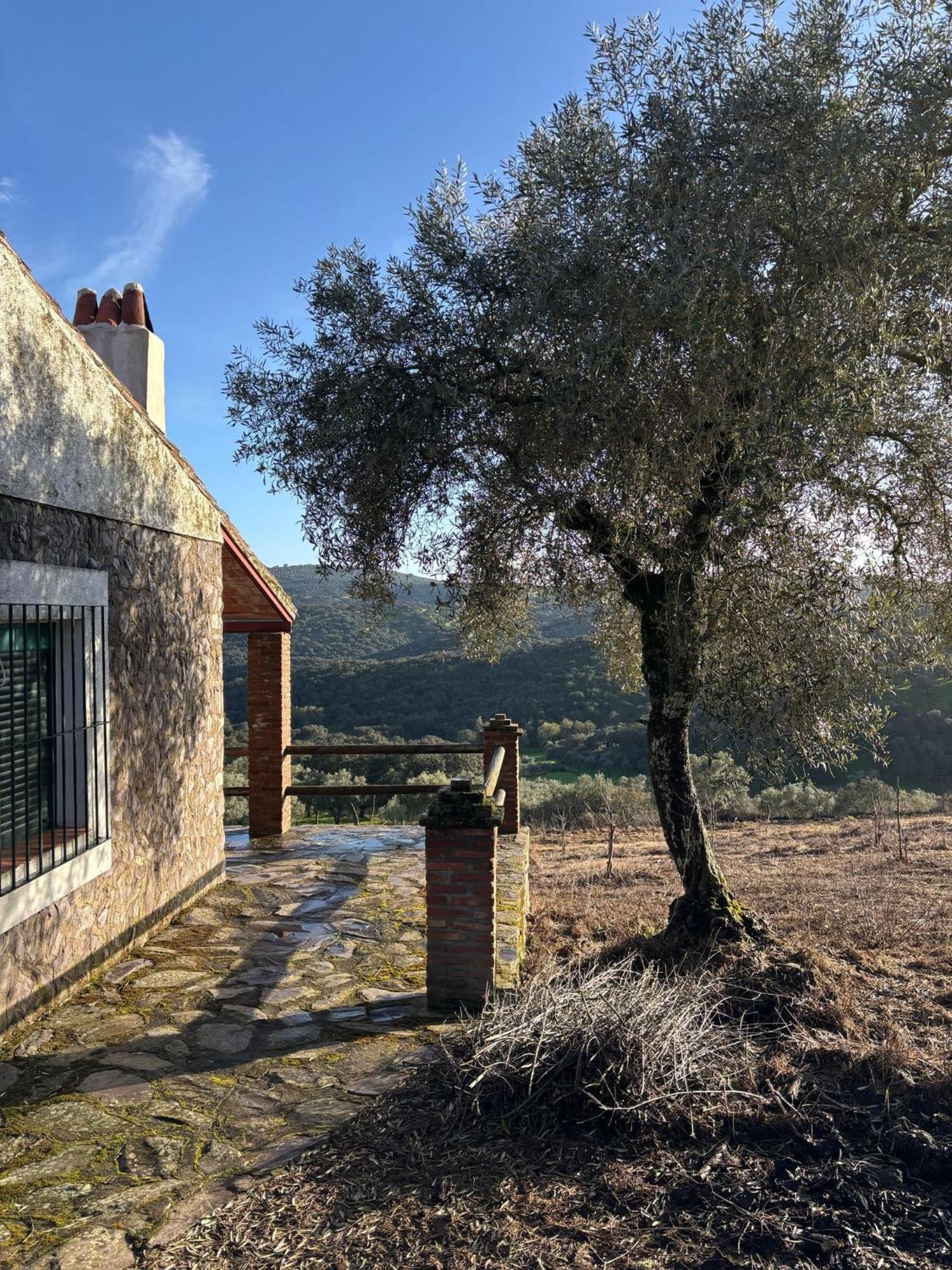 Casas Rurales Los Llanos Fuentes De Leon Luaran gambar