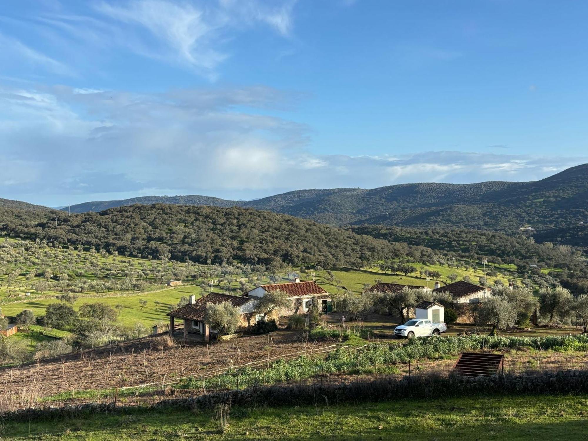 Casas Rurales Los Llanos Fuentes De Leon Luaran gambar