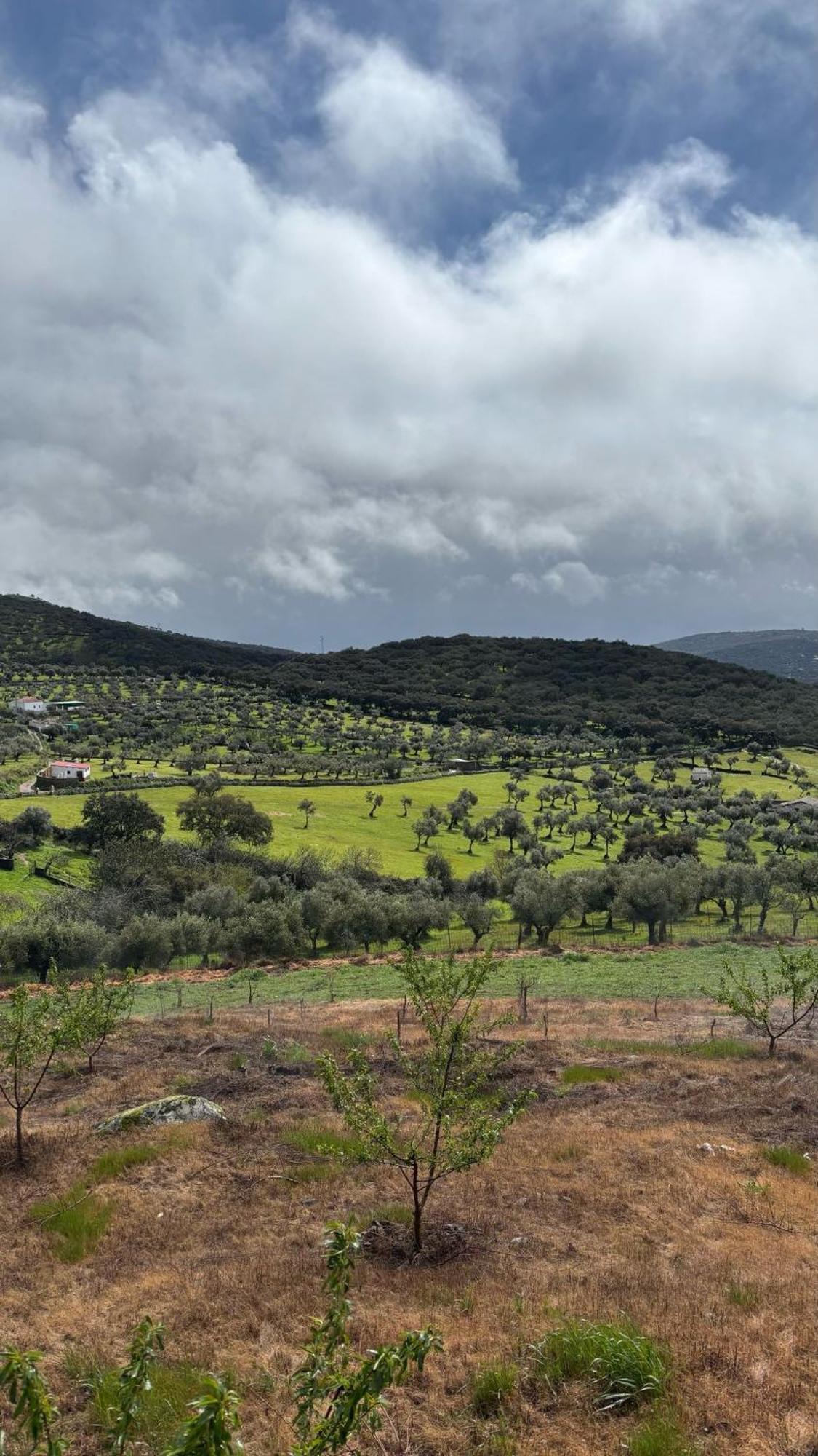 Casas Rurales Los Llanos Fuentes De Leon Luaran gambar